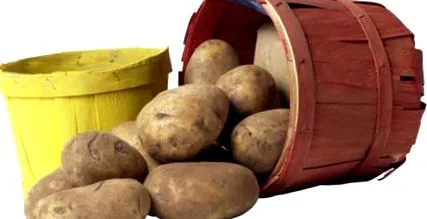 előnyök