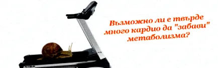 kardio hogy