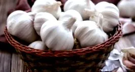 egészséges