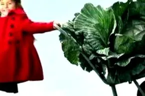 saláta miért