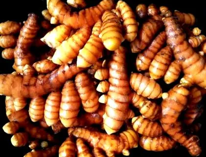 zöldségei