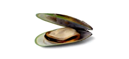 ajkú zöld