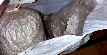 őrizetbe