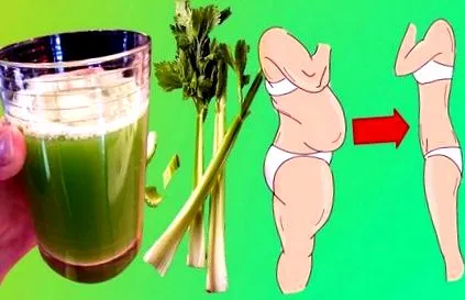 hatékony bulgária