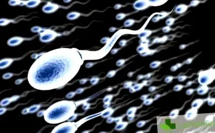 alkalmazás furcsa