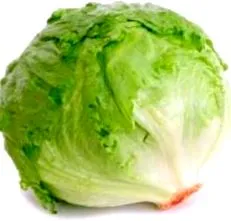 iceberg iceberg