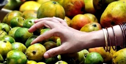 afrikai mangó
