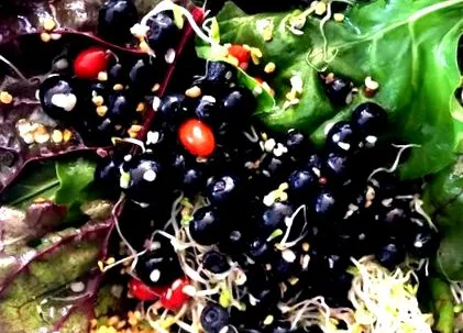aronia természetes