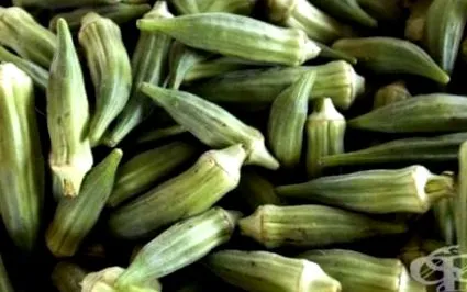 egészségügyi okra