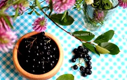 aronia Nagy mennyiségű