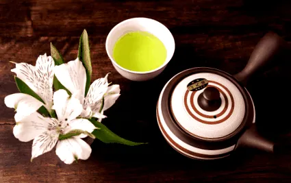 Japán zöld Boyana 2016