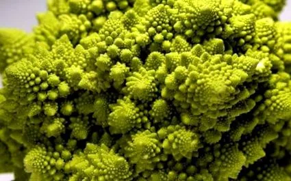 mintha romanesco