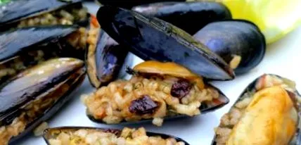 kagyló