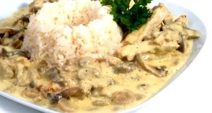 stroganov