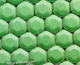 chlorella