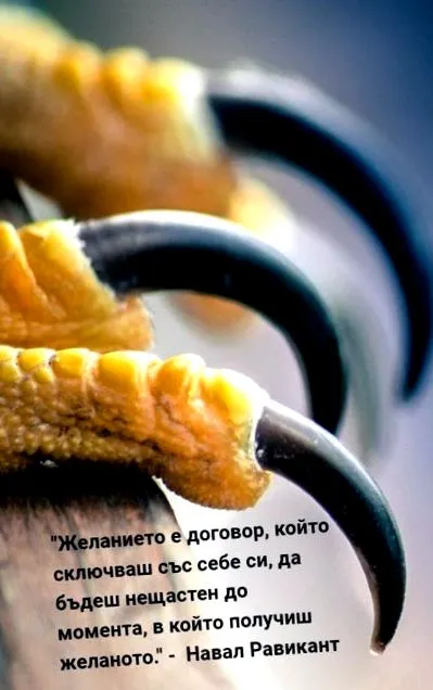 terápia Előbb vagy utóbb
