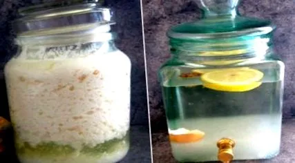 tibeti kefir