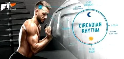 cirkadián tudni
