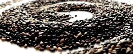 chia