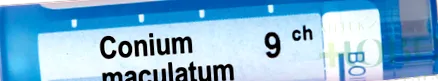 CONIUM MACULATUM