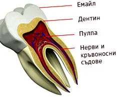 rendelő