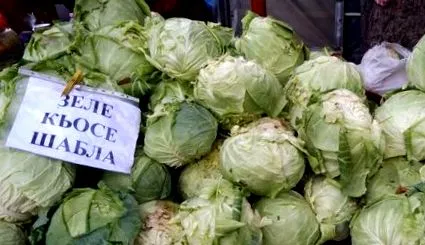 káposzta eljött