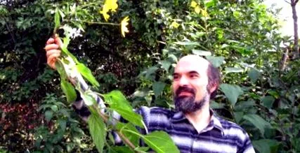 dimitar