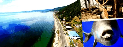 kirándulás bajkál