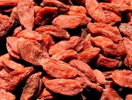 goji bogyó goji bogyó