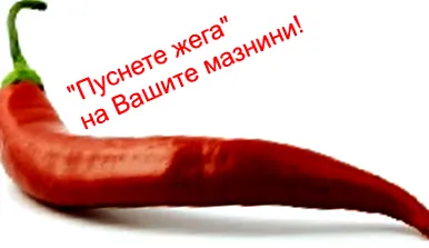 generáció generáció