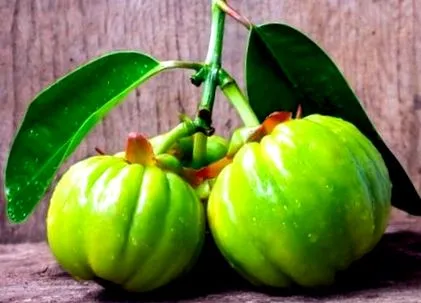 garcinia anti-stressz