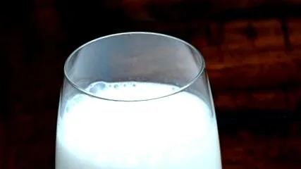 feladni