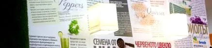 franchise freshbreak