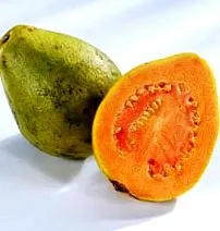 kalóriatartalma