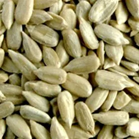 b6-vitamint b6-vitamint