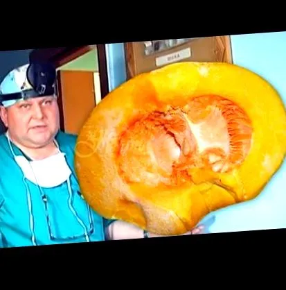 élelmiszerek