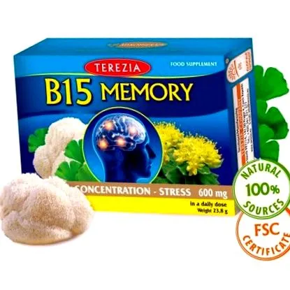 memória