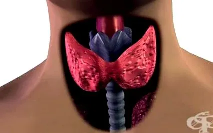 hypothyreosisban hypothyreosisban