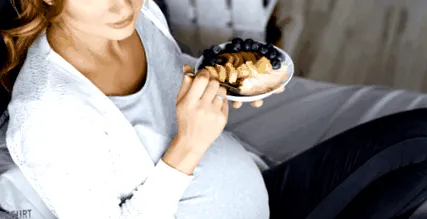 előkészítésében táplálkozás