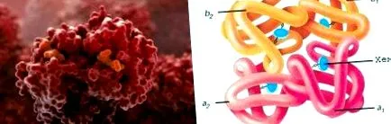 hemoglobin teljes vérkép