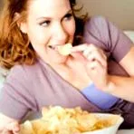 állati