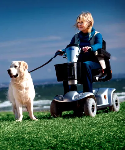 típusa motorok