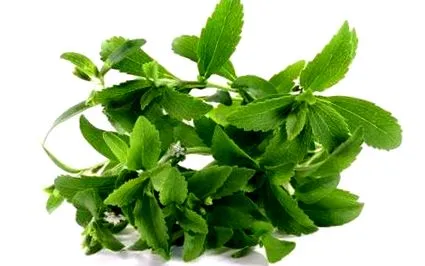 természetesen stevia