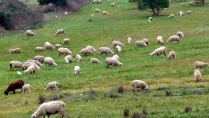 hónapra hónapra