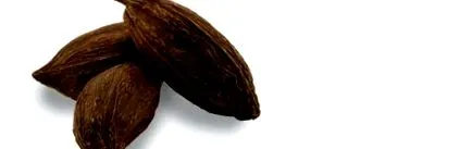 italokról italokról