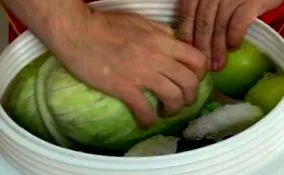 fermentált