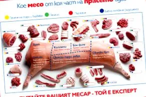 disznó melyik