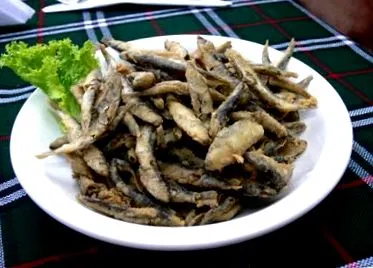 recept