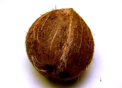 egészség
