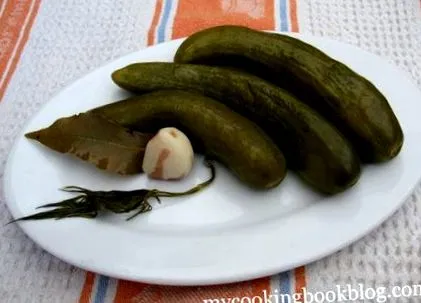 főzőkönyvi korianderrel
